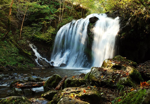 La Cascade - Claude Dejean