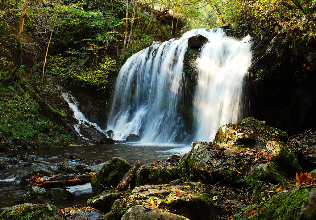 La Cascade - Claude Dejean