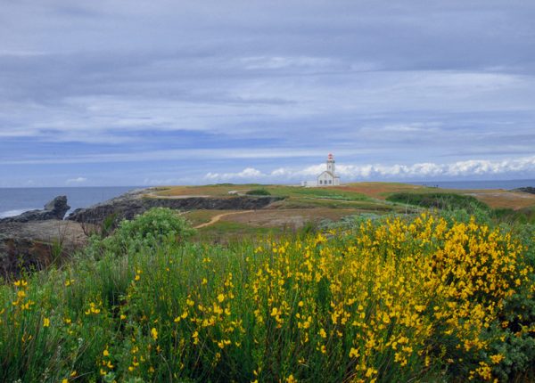 Le Phare des Poulains