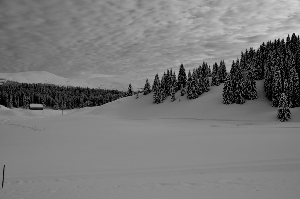 Combe du Jura