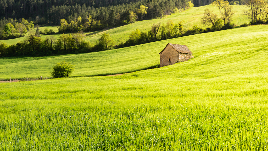 La maisonnette dans le champ