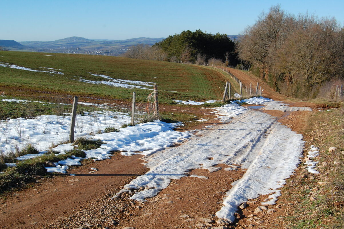 Co 667 04 BONNEAU Philippe Le sentier.jpg