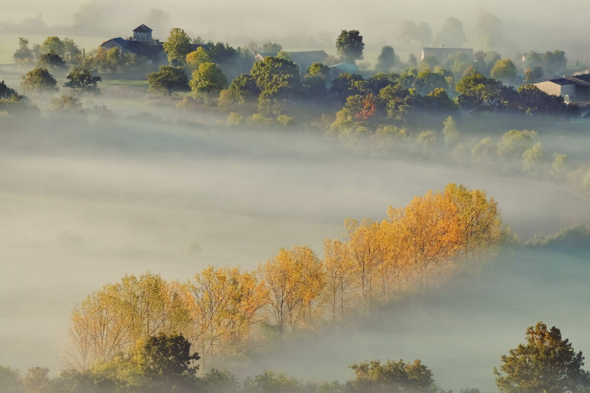 Co 667 25 FABRE Francis Matin d'automne.jpg